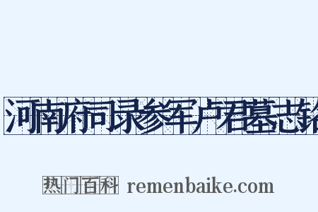 河南府司录参军卢君墓志铭是什么意思的图片
